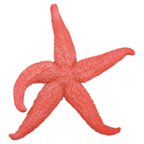 Wall Art - Giant Pink Starfish
